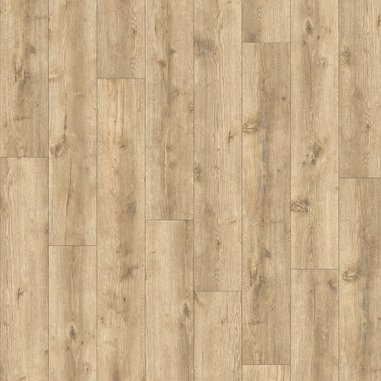 51582-avvio-major oak 24279.jpg