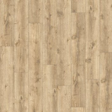 AVVIO - Major Oak 24279