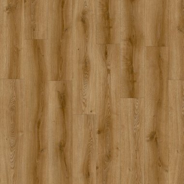 51586-avvio-sandhill oak 22866.jpg