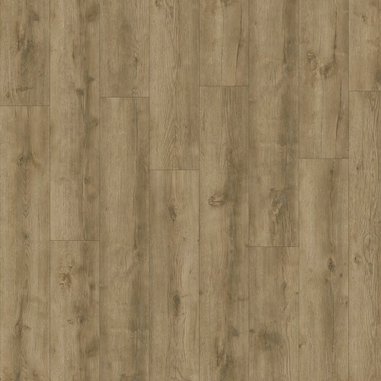 51587-avvio-major oak 24863.jpg