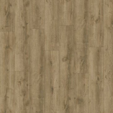 51587-avvio-major oak 24863.jpg