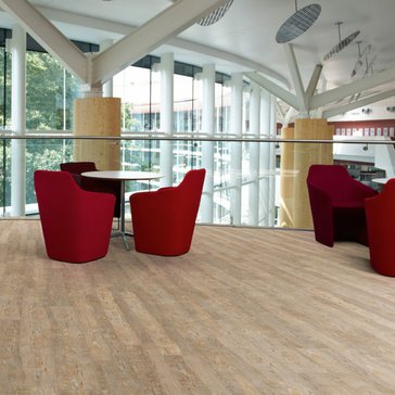 Amtico First SF3W2516 Bleached Elm 152,4 x 914,4 mm