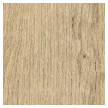 Dried Willow SF3W1027.jpg