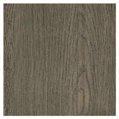 Dutch Oak SF3W2778.jpg