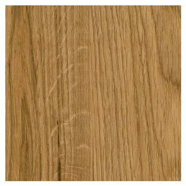 English Oak SF3W2498.jpg