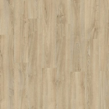 Kentucky_Oak_83226_546defaa.jpg