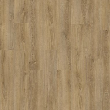 Kentucky_Oak_83847_967e705d.jpg