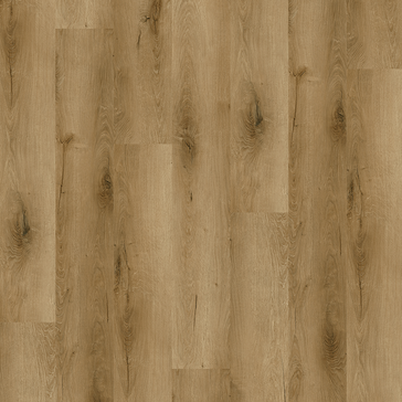 Dutch-Oak.png