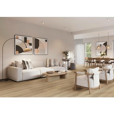 3050-DUB-BARONSKY_interier