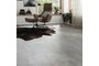 RIGID PLUS SPC Click 8016.jpg