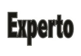 Experto Ultimo