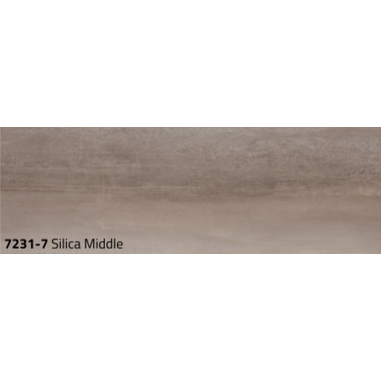 7231-7 .png