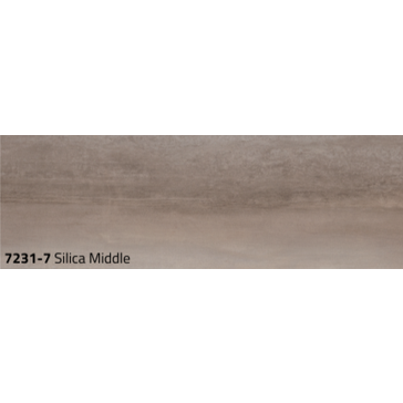 7231-7 .png
