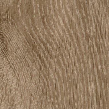 Noma Marron 0589.jpg