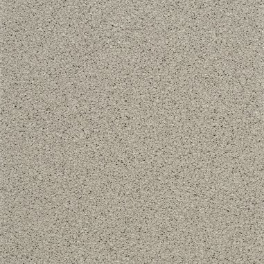 RS32355_Pixel Taupe Frontal view.jpg