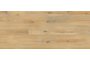 Island Oak Honey PLC043R-1.jpg
