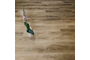 KPP_SPC_Dub_Sophora_61907_50.png