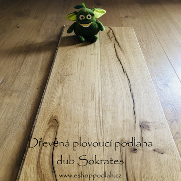 Dub Sokrates 10172