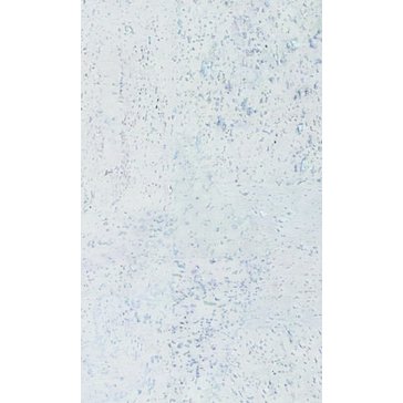 Korková plovoucí podlaha Corkline Standard White HRN