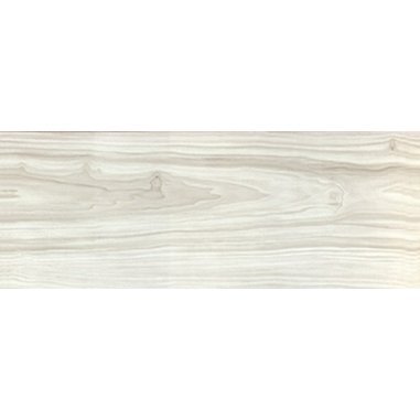 771_wiąz-syberyjski_lightbox.jpg