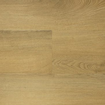 Nature Oak_5.jpg