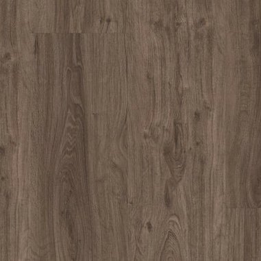 24736008 English oak hazel.jpg