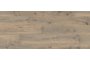 Valley Oak Mud PLC042R-1.jpg