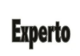 Experto Ultimo